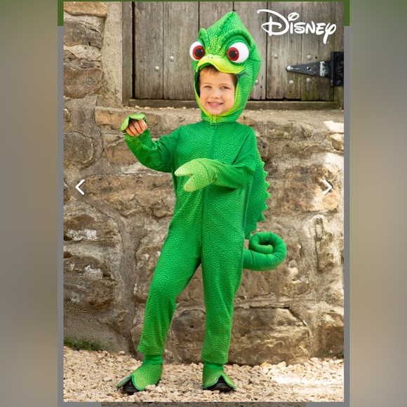 Disney Pascal Costume from Tangled - Picture 1 of 6